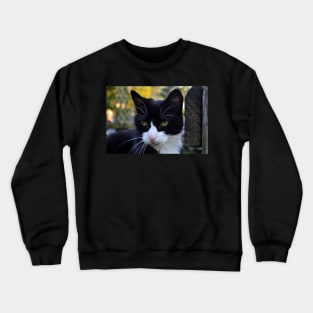 Golden Times Crewneck Sweatshirt